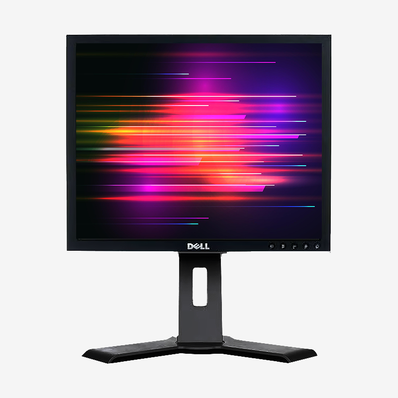 Dell 1908FP / Pantalla 19" / Resolución 1280x1024 / Estado estético "Pro"
