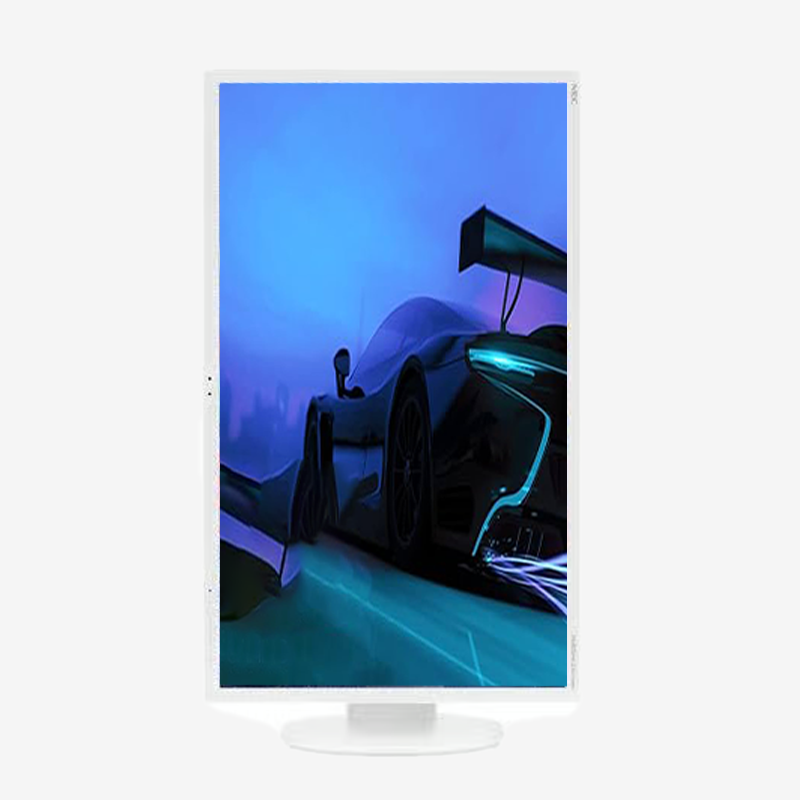 NEC EA223WM · Monitor 22" 1680 x 1050 · Pro