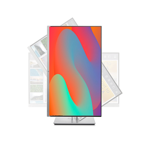 HP Elitedisplay E223 / Pantalla 21" / Full Hd / Estado estético "Pro Line"