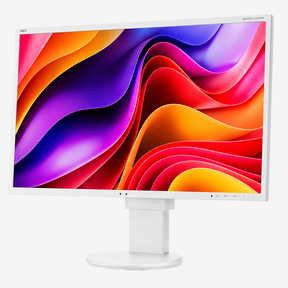 NEC EA223WM · Monitor 22" 1680 x 1050 · Pro