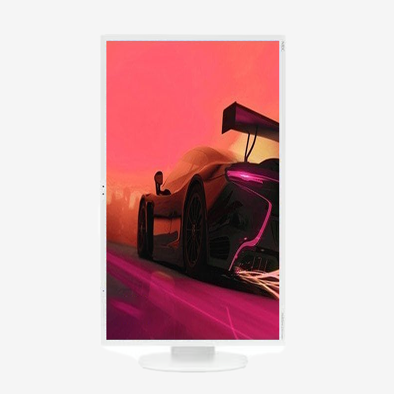 NEC EA243WM 24" WUXGA 1920 X 1200, Pro